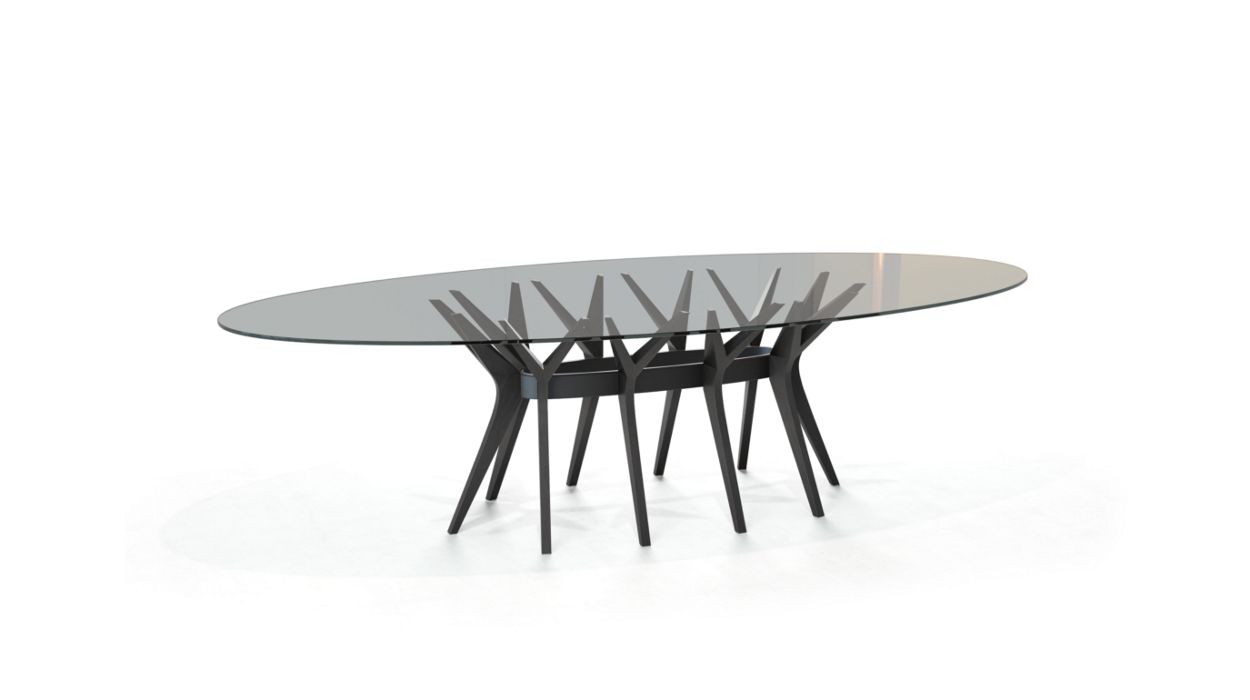 ASTER OVAL DINING TABLE by Roche Bobois