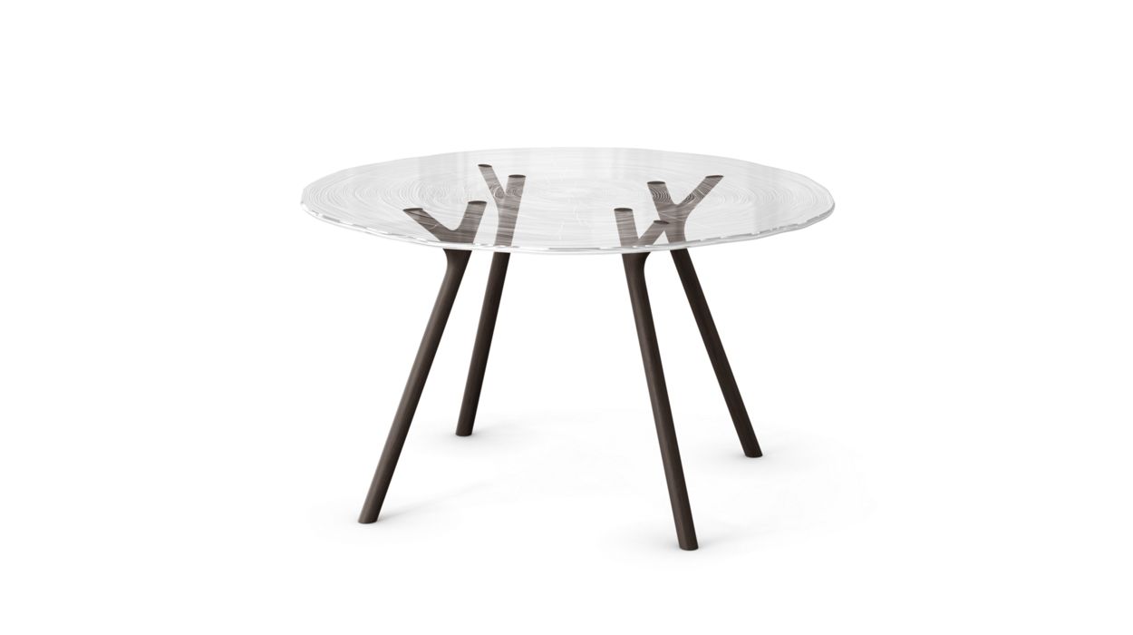 PLEXIWOOD DINING TABLE by Roche Bobois