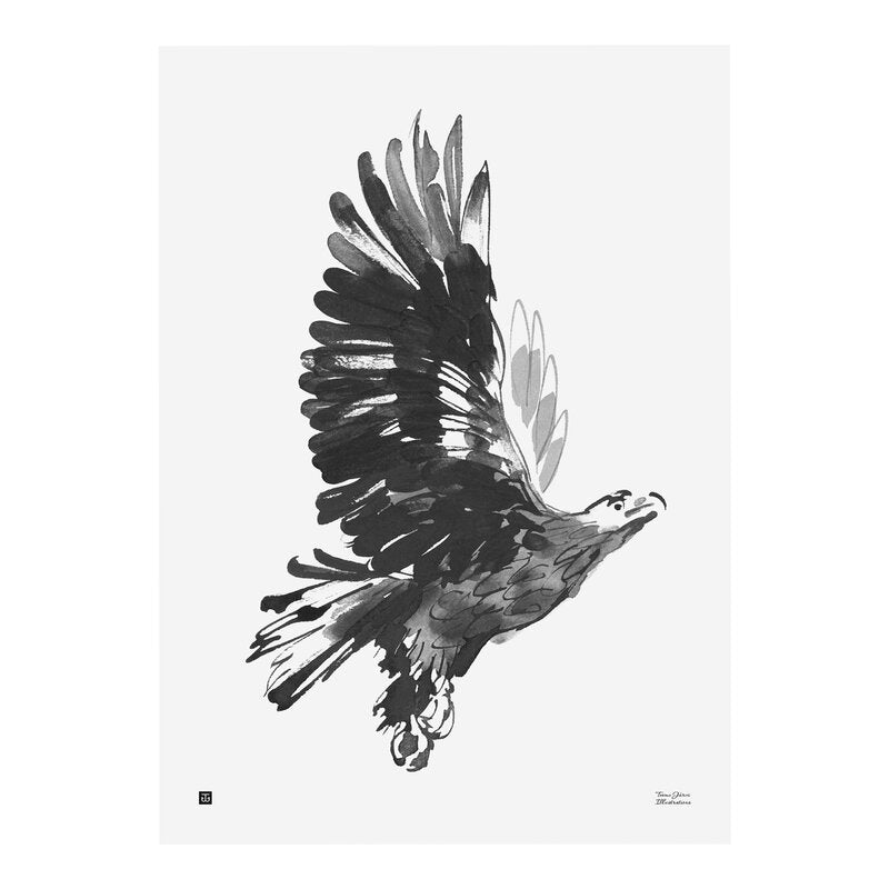 Eagle poster by Teemu Jarvi Illustrations