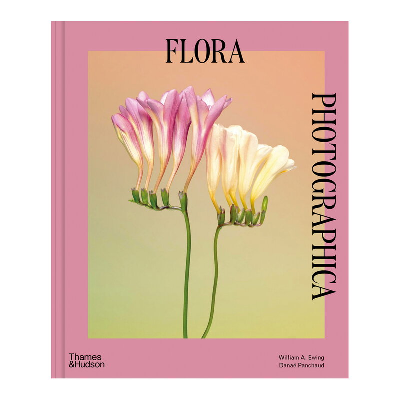 Flora Photographica: The Flower in Contemporary Photography by Thames & Hudson