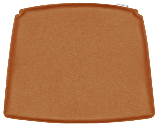 CU CH22 | cushion (Request Info)