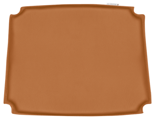 CU CH37 | Cushion (Request Info)