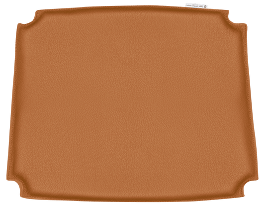 CU CH36 | Cushion (Request Info)